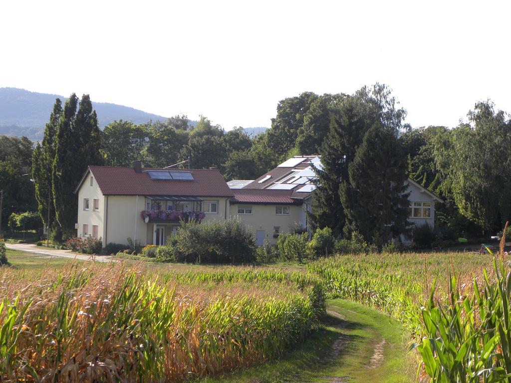 Ferienwohnungen Eichenhof Kapellen-Drusweiler Bagian luar foto