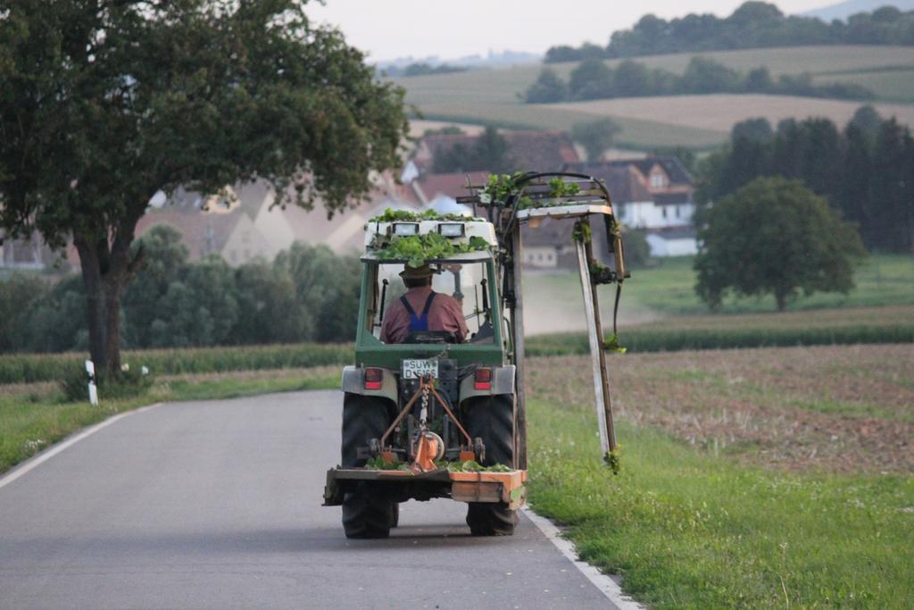Ferienwohnungen Eichenhof Kapellen-Drusweiler Bagian luar foto